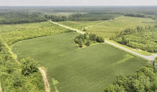 Photo #3 of Off of Hwy 561, Halifax, NC 24.5 acres