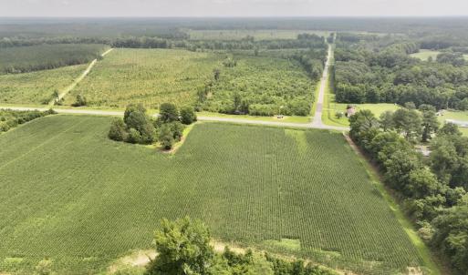 Photo #4 of Off of Hwy 561, Halifax, NC 24.5 acres