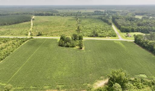 Photo #5 of Off of Hwy 561, Halifax, NC 24.5 acres