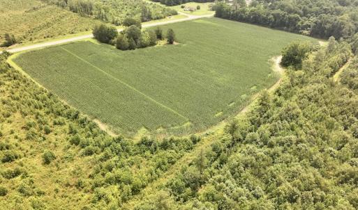 Photo #6 of Off of Hwy 561, Halifax, NC 24.5 acres
