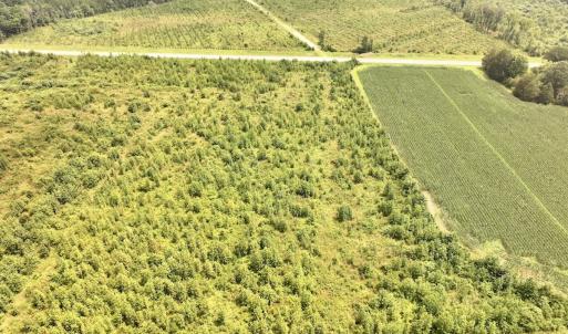 Photo #7 of Off of Hwy 561, Halifax, NC 24.5 acres