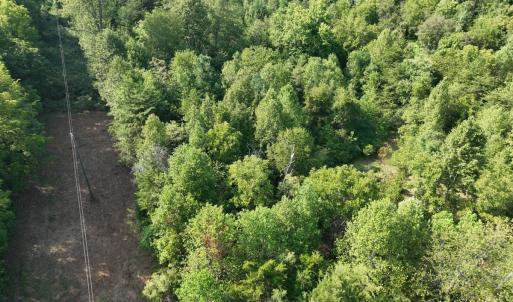 Photo #8 of Off of Moneta Rd, Moneta, VA 10.4 acres