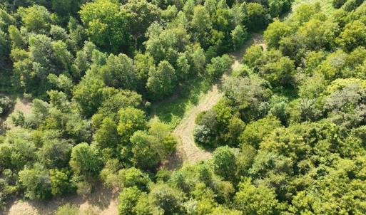 Photo #9 of Off of Moneta Rd, Moneta, VA 10.4 acres