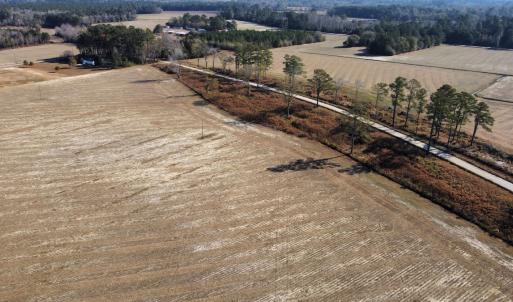 Photo #2 of Off of Black Creek Rd, Nichols, SC 72.5 acres