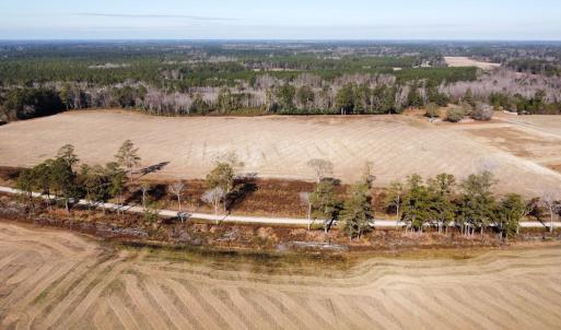 Photo #1 of Off of Black Creek Rd, Nichols, SC 72.5 acres