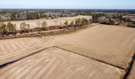 Photo #3 of Off of Black Creek Rd, Nichols, SC 72.5 acres