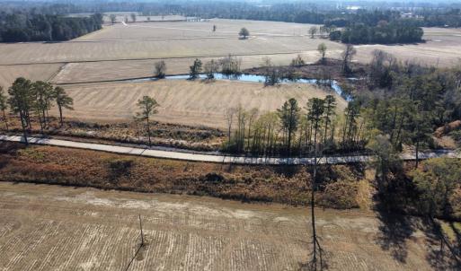 Photo #4 of Off of Black Creek Rd, Nichols, SC 72.5 acres