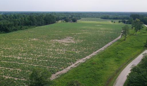 Photo #6 of Off of Black Creek Rd, Nichols, SC 72.5 acres