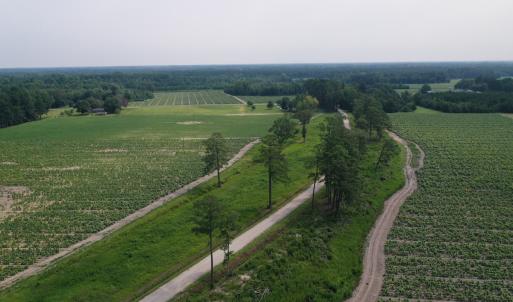 Photo #10 of Off of Black Creek Rd, Nichols, SC 72.5 acres