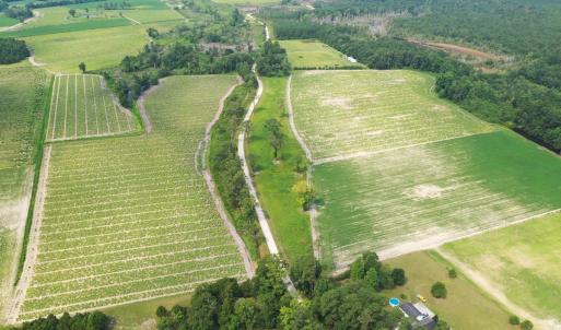Photo #21 of Off of Black Creek Rd, Nichols, SC 72.5 acres