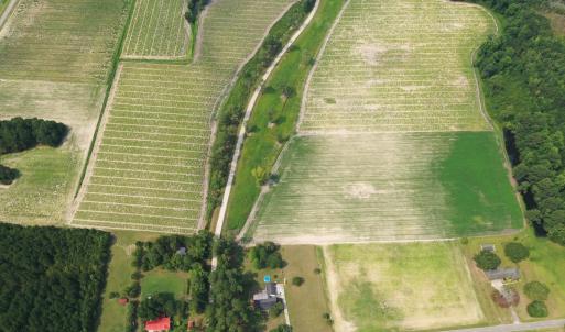 Photo #25 of Off of Black Creek Rd, Nichols, SC 72.5 acres