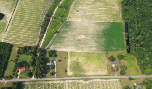 Photo #26 of Off of Black Creek Rd, Nichols, SC 72.5 acres