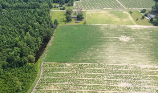 Photo #29 of Off of Black Creek Rd, Nichols, SC 72.5 acres