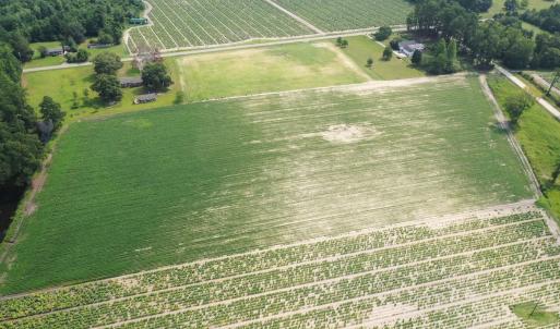 Photo #30 of Off of Black Creek Rd, Nichols, SC 72.5 acres