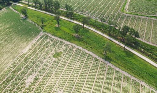 Photo #31 of Off of Black Creek Rd, Nichols, SC 72.5 acres