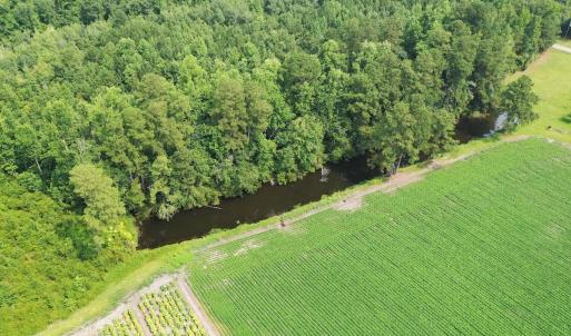 Photo #35 of Off of Black Creek Rd, Nichols, SC 72.5 acres