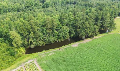 Photo #36 of Off of Black Creek Rd, Nichols, SC 72.5 acres