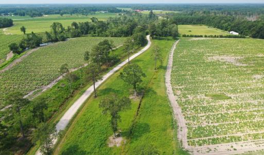 Photo #41 of Off of Black Creek Rd, Nichols, SC 72.5 acres