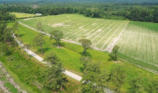 Photo #43 of Off of Black Creek Rd, Nichols, SC 72.5 acres