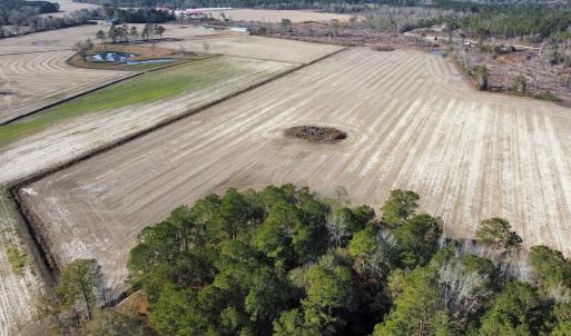 Photo #1 of Off of Shelley Ln, Nichols, SC 35.7 acres