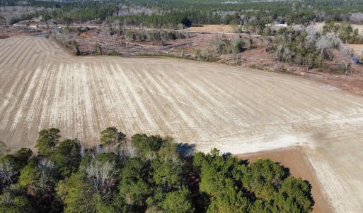 Photo #2 of Off of Shelley Ln, Nichols, SC 35.7 acres
