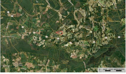 Photo #26 of Off of Shelley Ln, Nichols, SC 35.7 acres