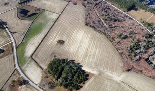 Photo #3 of Off of Shelley Ln, Nichols, SC 35.7 acres
