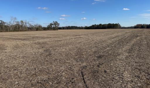 Photo #20 of Off of Shelley Ln, Nichols, SC 35.7 acres