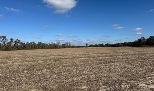 Photo #21 of Off of Shelley Ln, Nichols, SC 35.7 acres