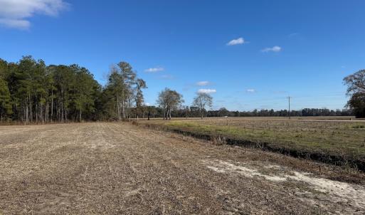 Photo #22 of Off of Shelley Ln, Nichols, SC 35.7 acres