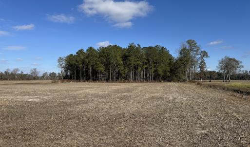 Photo #23 of Off of Shelley Ln, Nichols, SC 35.7 acres