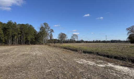 Photo #24 of Off of Shelley Ln, Nichols, SC 35.7 acres