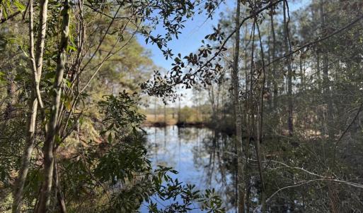 Photo #25 of Off of Shelley Ln, Nichols, SC 35.7 acres