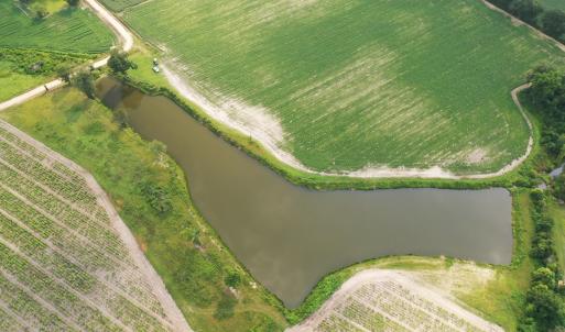 Photo #7 of Off of Beth Ln, Nichols, SC 45.5 acres