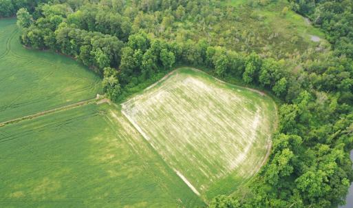 Photo #9 of Off of Beth Ln, Nichols, SC 45.5 acres