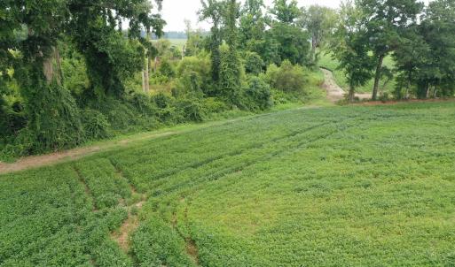 Photo #14 of Off of Beth Ln, Nichols, SC 45.5 acres