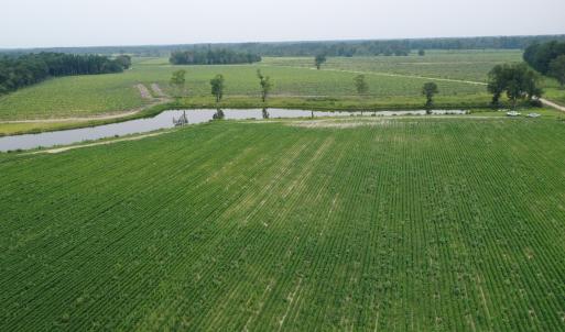 Photo #16 of Off of Beth Ln, Nichols, SC 45.5 acres