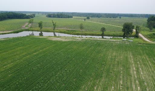 Photo #17 of Off of Beth Ln, Nichols, SC 45.5 acres