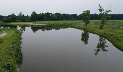 Photo #18 of Off of Beth Ln, Nichols, SC 45.5 acres