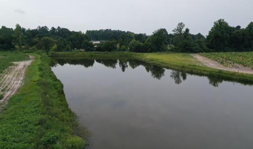 Photo #19 of Off of Beth Ln, Nichols, SC 45.5 acres