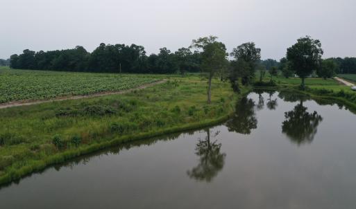 Photo #20 of Off of Beth Ln, Nichols, SC 45.5 acres