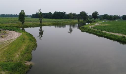 Photo #23 of Off of Beth Ln, Nichols, SC 45.5 acres
