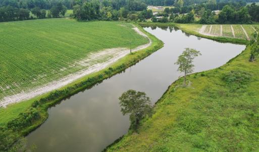 Photo #25 of Off of Beth Ln, Nichols, SC 45.5 acres