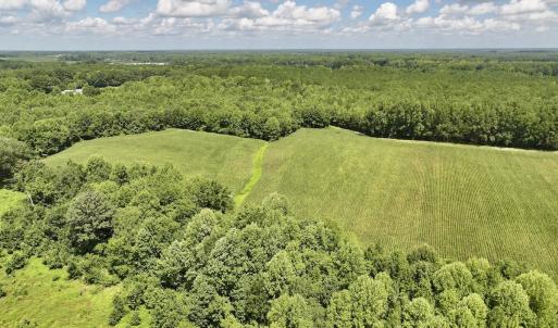Photo #10 of Lot 3 Mobley Rd, Lucama, NC 15.8 acres