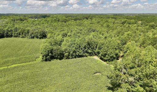 Photo #11 of Lot 3 Mobley Rd, Lucama, NC 15.8 acres