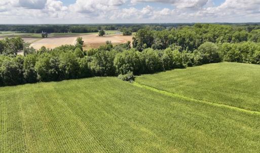 Photo #12 of Lot 3 Mobley Rd, Lucama, NC 15.8 acres