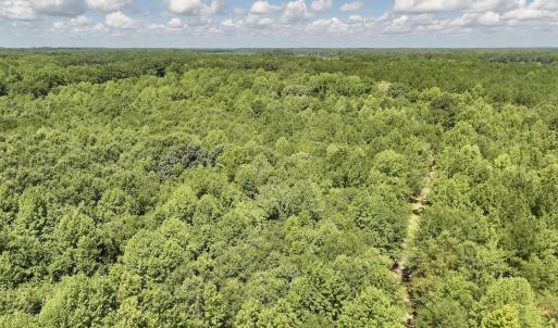 Photo #13 of Lot 3 Mobley Rd, Lucama, NC 15.8 acres