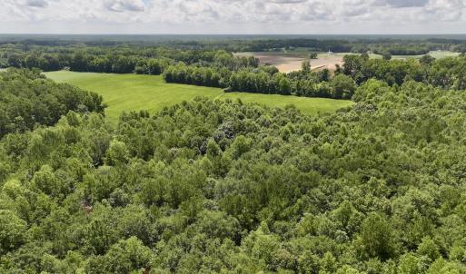 Photo #14 of Lot 3 Mobley Rd, Lucama, NC 15.8 acres
