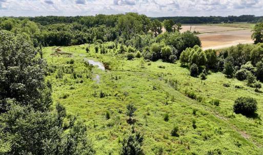 Photo #19 of Lot 3 Mobley Rd, Lucama, NC 15.8 acres