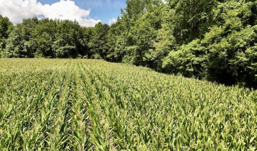 Photo #24 of Lot 3 Mobley Rd, Lucama, NC 15.8 acres